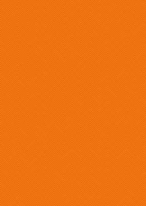 HoliSole - Einlegesohle Orange